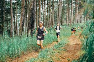 BIB: 
                            <button type="button" onclick="openModal(25654475)" class="btn btn-primary btn-sm float-right btn-popup" data-toggle="modal" data-target=".modal-high-quality">
                        <i class="fas fa-shopping-cart"></i> Add to Cart
                    </button>
                                            <button type="button" onclick="isThisMe(25654475, true)" class="btn btn-success btn-sm float-right btn-popup btn-isme hidden" data-toggle="tooltip" data-placement="bottom" title="นี่คือรูปของคุณใช่ไหม คลิกที่นี่เพื่อเอาเข้าอัลบั้ม">
                        <i class="fas fa-plus"></i> Add to album
                    </button>
                    <button type="button" onclick="isThisMe(25654475, false)" class="btn btn-warning btn-sm float-right btn-popup btn-isnotme hidden">
                        <i class="fas fa-ban"></i> Remove from album
                    </button>